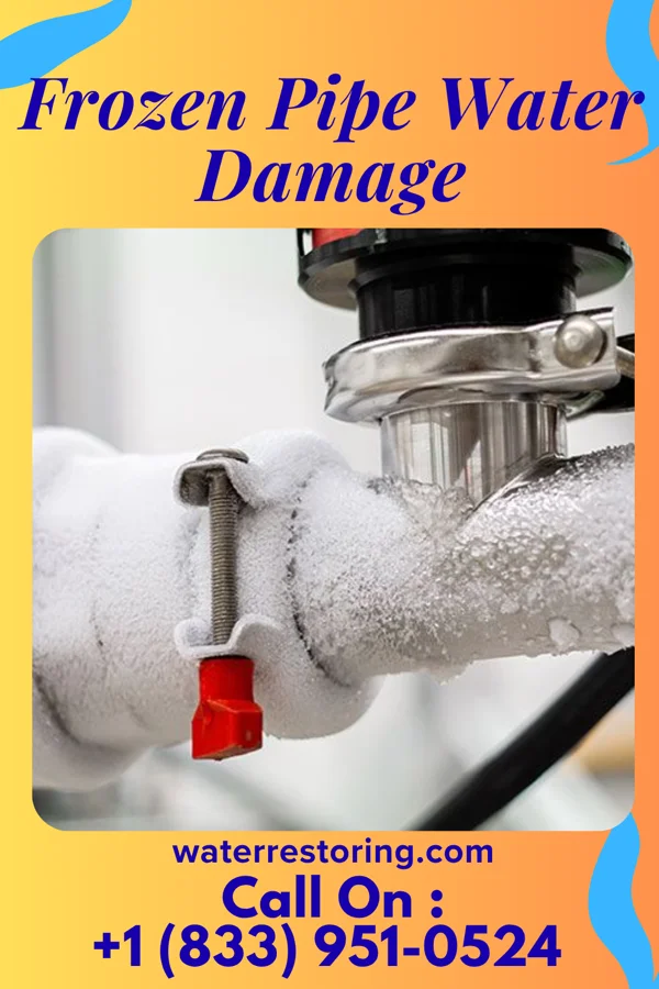 Frozen Pipe Water Damage in Edesville, MD