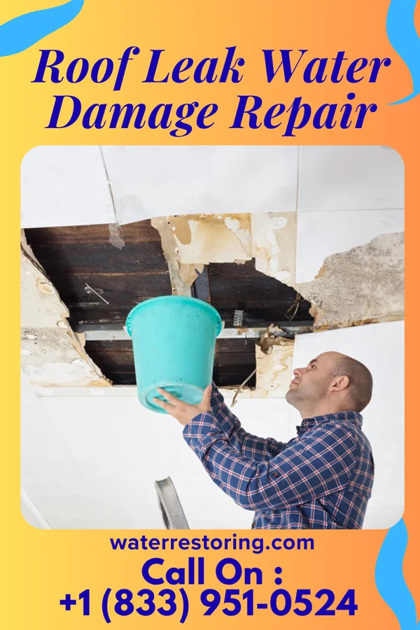 Roof Leak Water Damage Repair in Edesville, MD