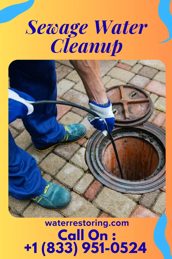 Sewage Water Cleanup in Edesville, MD