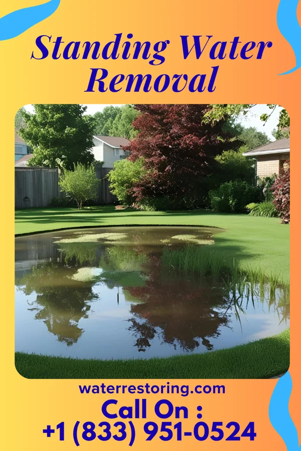 Standing Water Removal in Edesville, MD